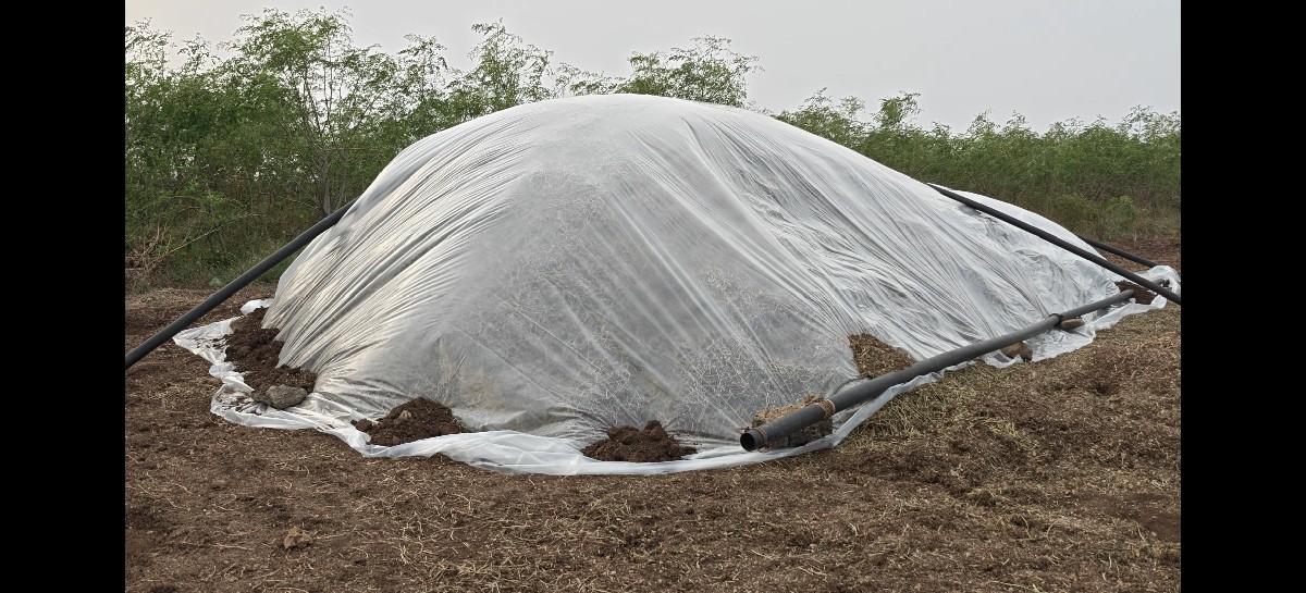 ગુ.૨૨ ની માંડવીનો ચોખોકોરો ભૂકો