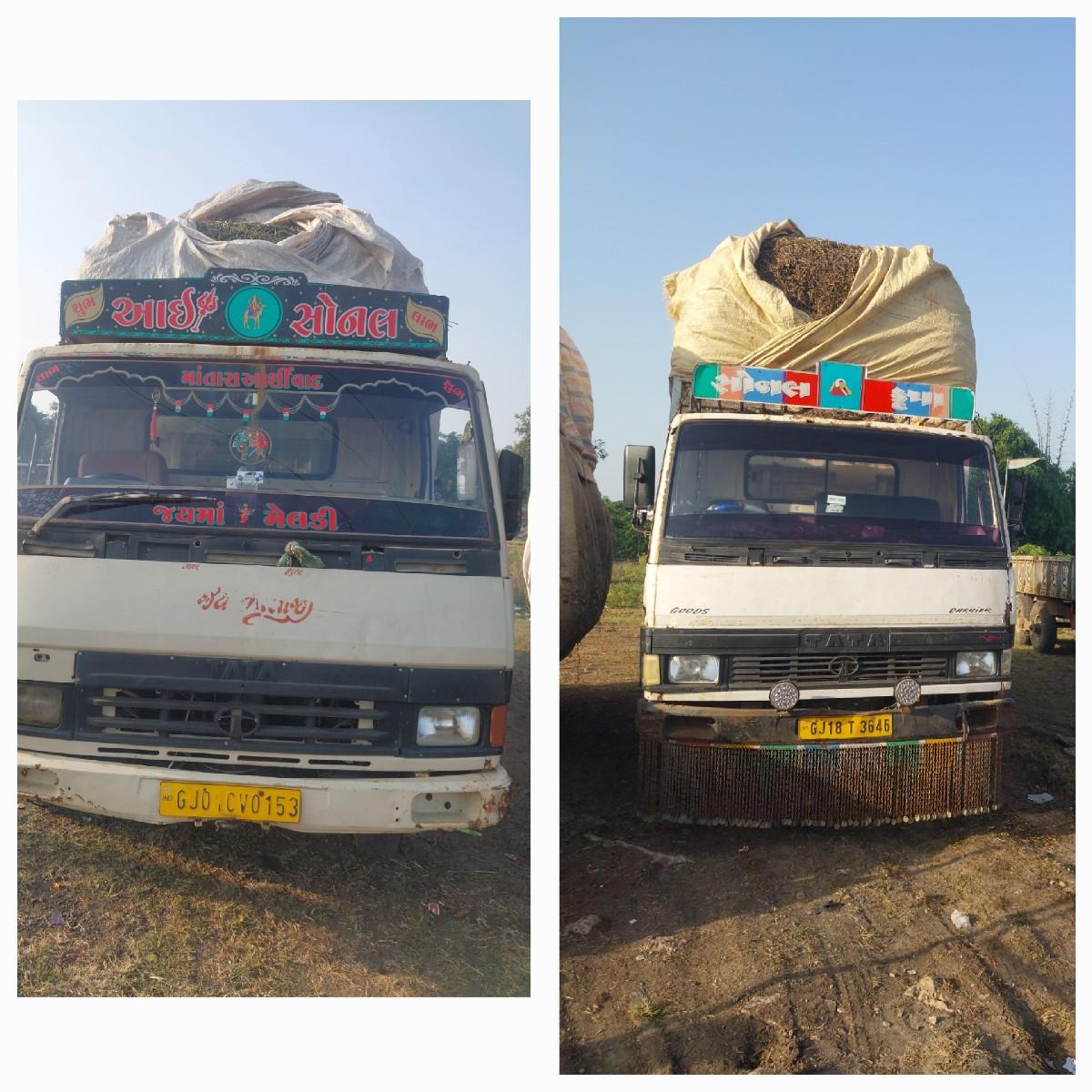 થંબનેલ 2