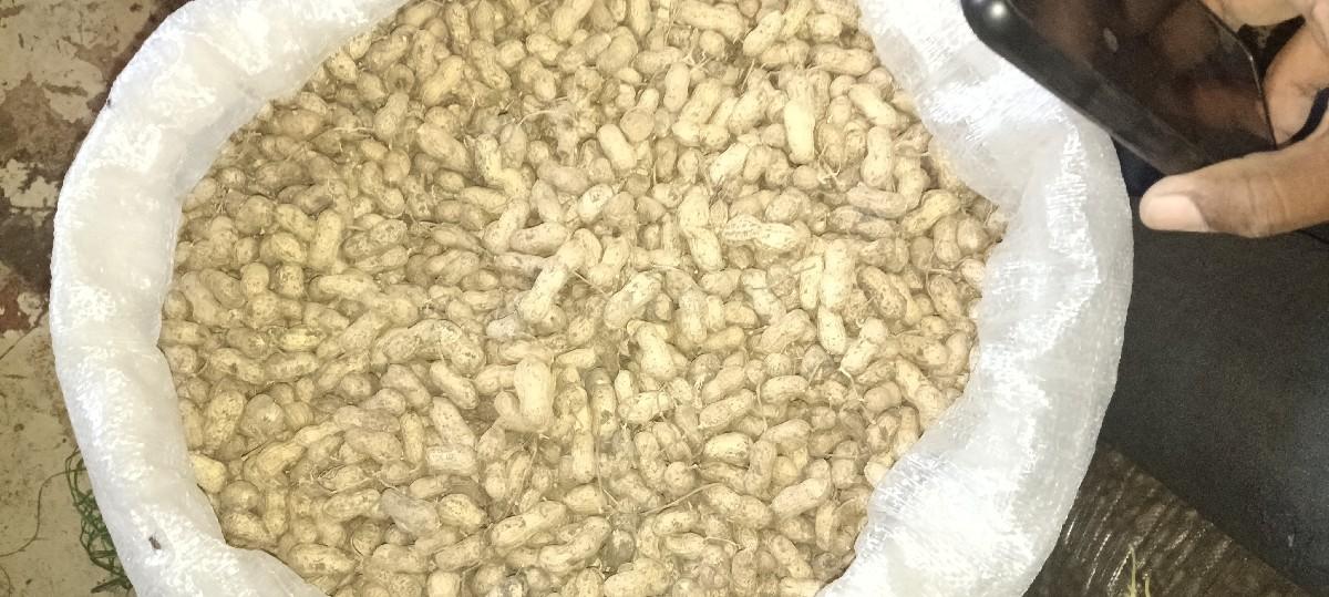 કે 41 માંડવી