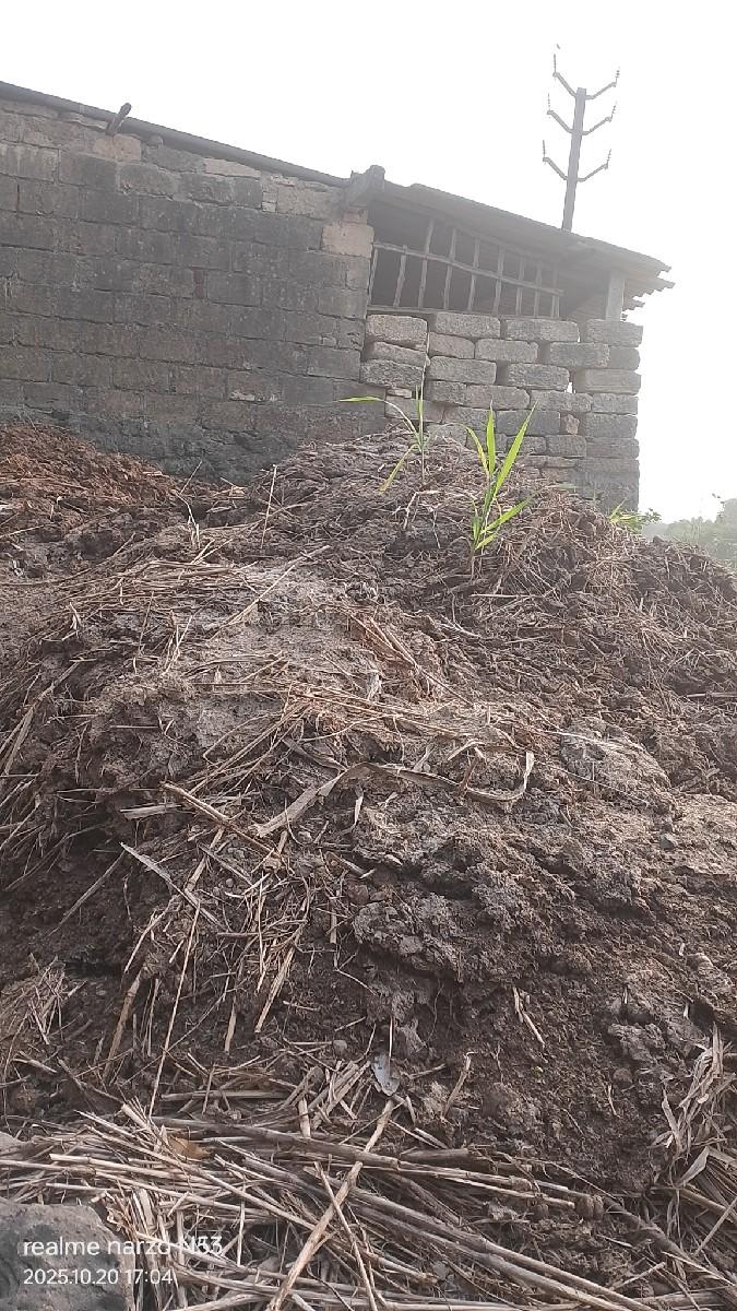 છાણીયું ખાતર વેચવાનું છે