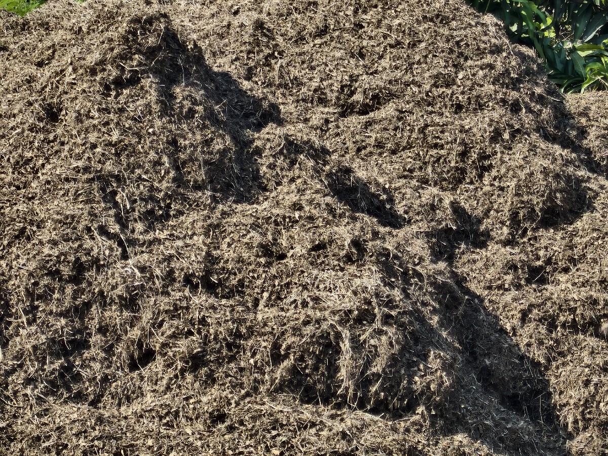 12વિધાનુ જી વિશ નુ મગોટુ