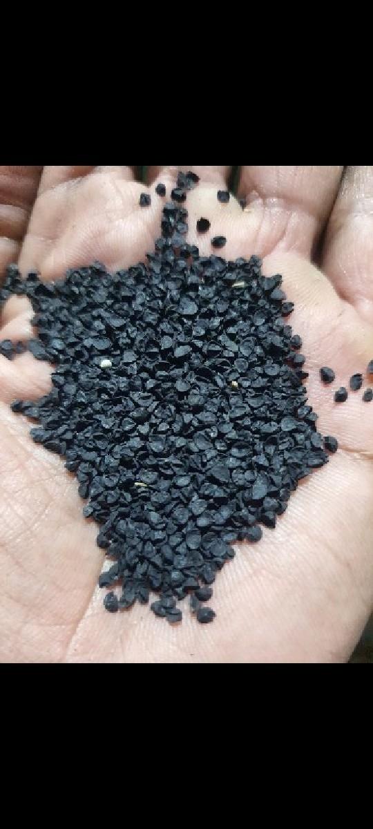 ડુંગળી નુ બીયારણ વેચવાનુ છે