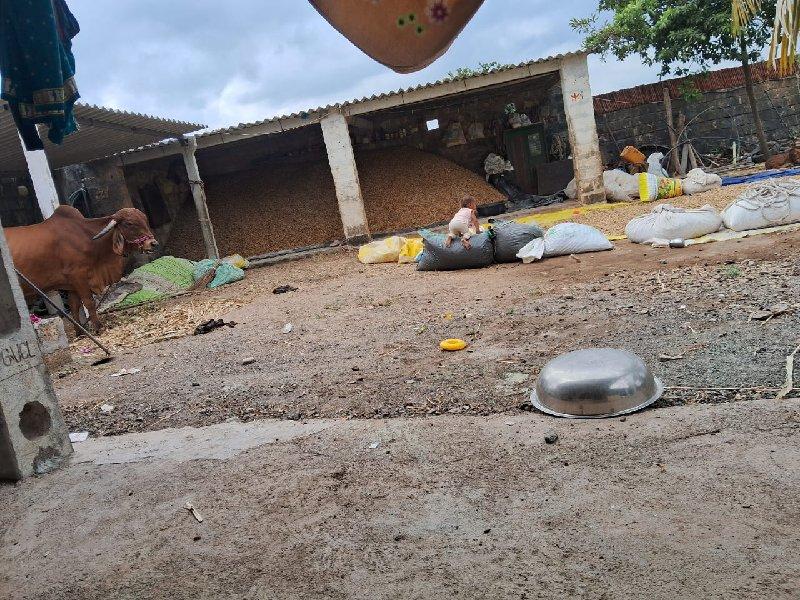 થંબનેલ 2