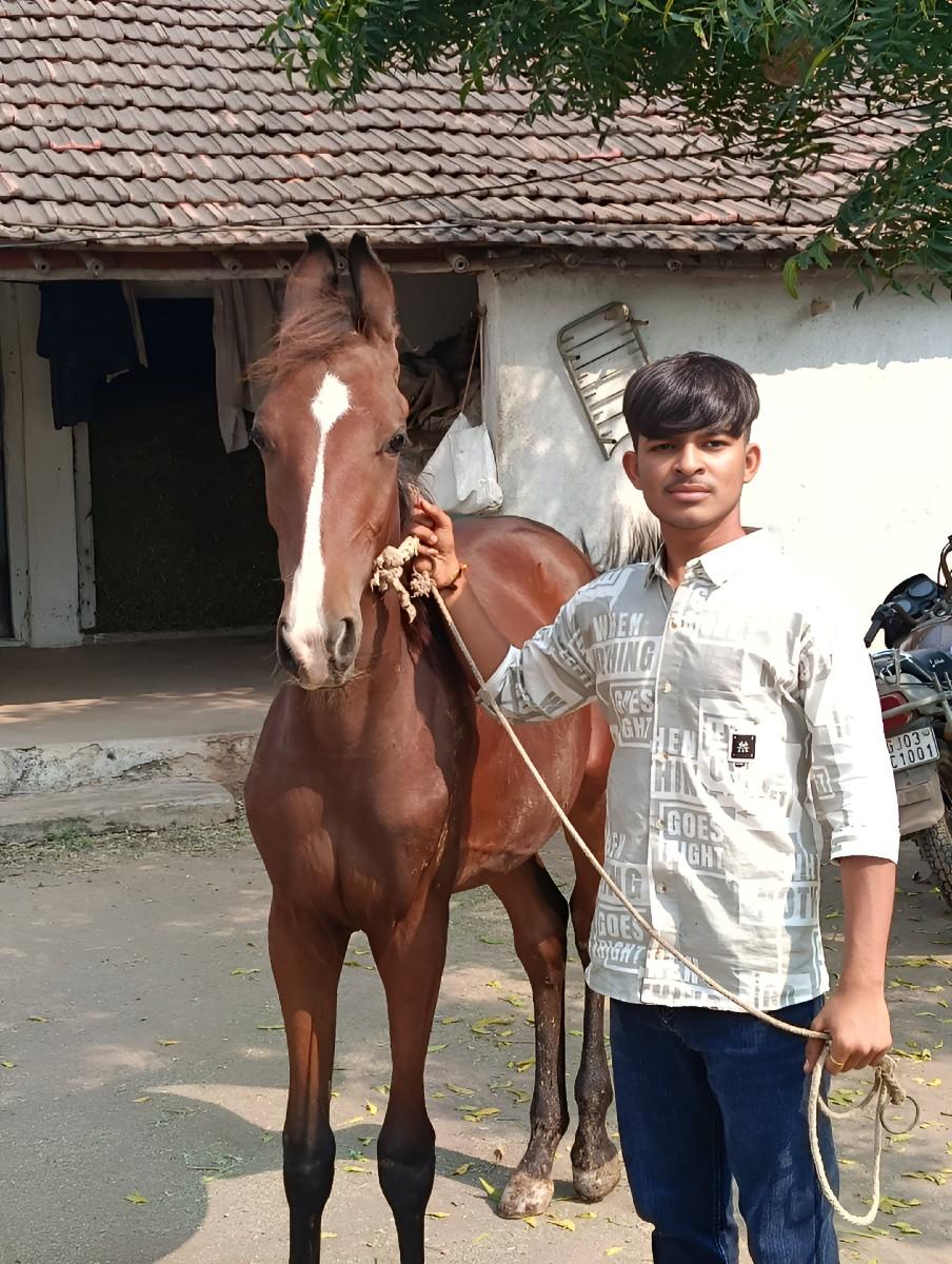 થંબનેલ 2