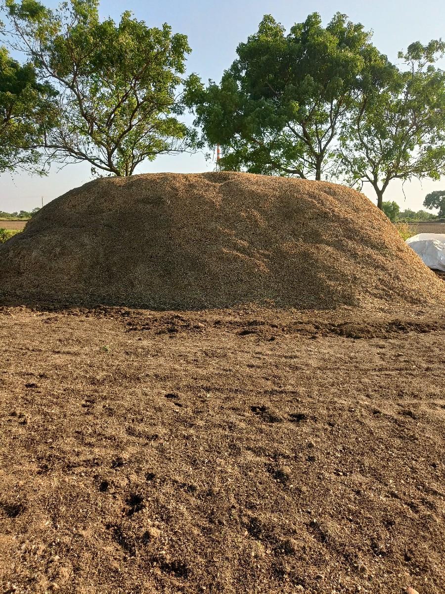 20નંબર મગફળી નો પાલો વસવાનોસે