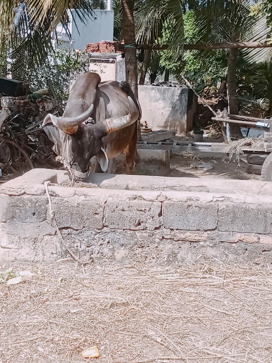 થંબનેલ 3