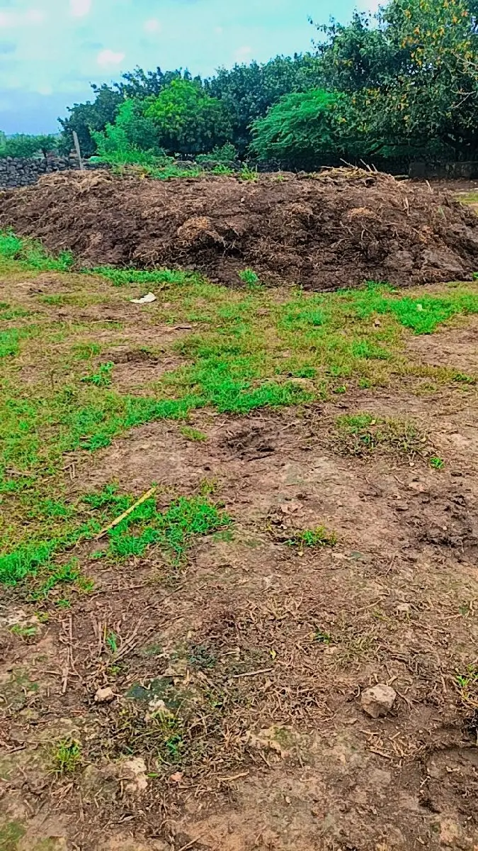 શાણીયુ ખાતર વેચવાનું છે