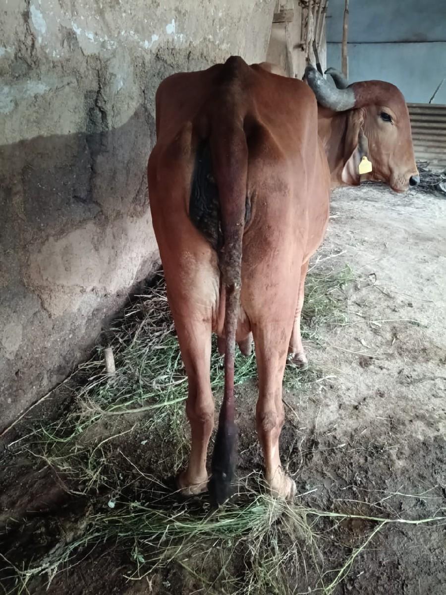 થંબનેલ 2