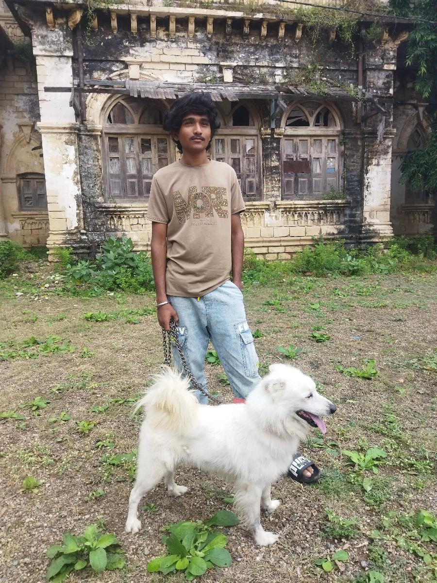 pomerian mel vechav chhe