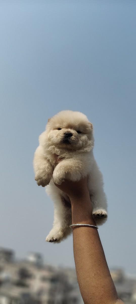 થંબનેલ 2