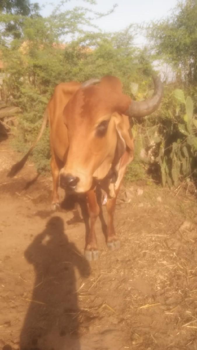 થંબનેલ 3