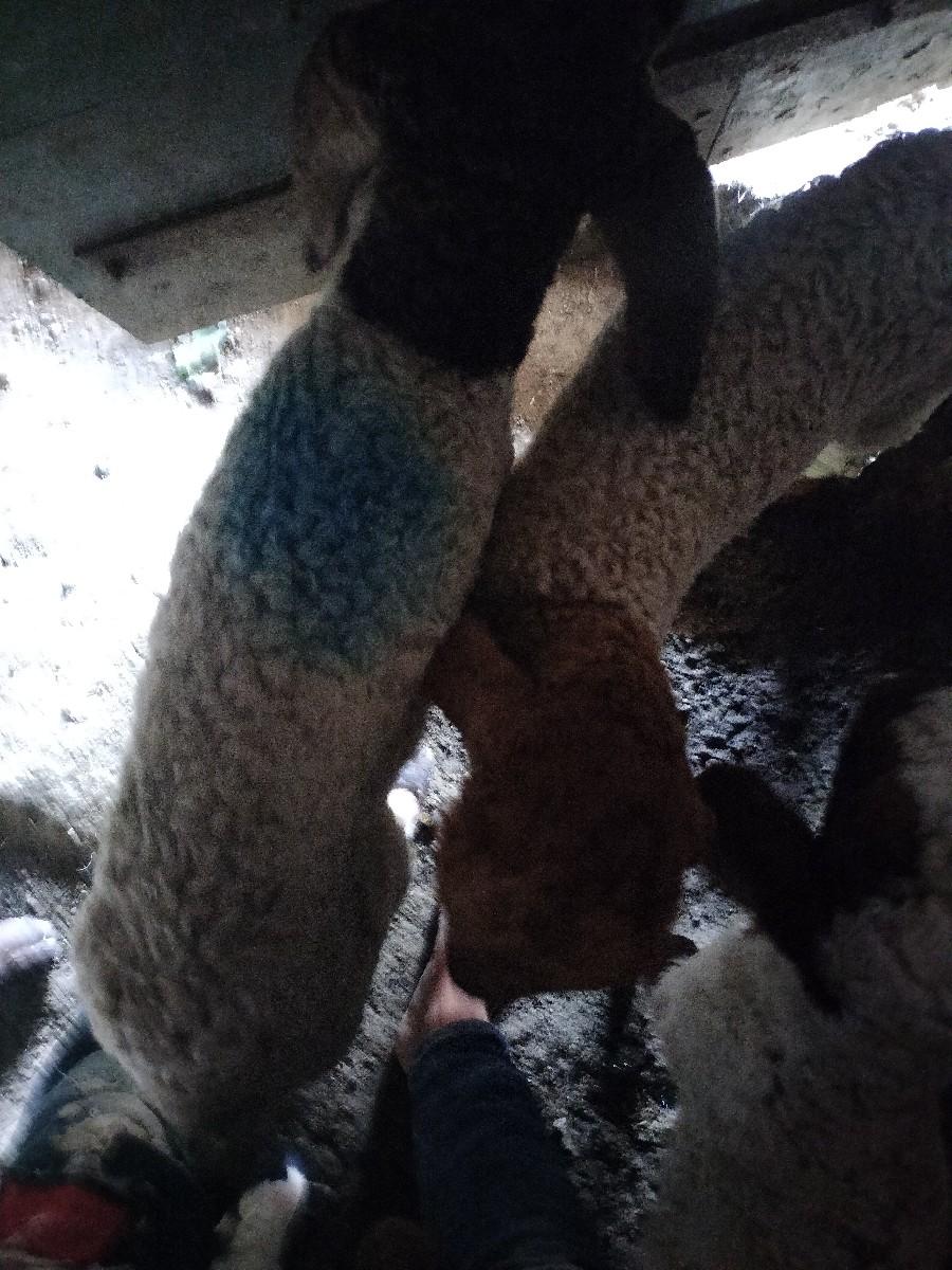 થંબનેલ 2