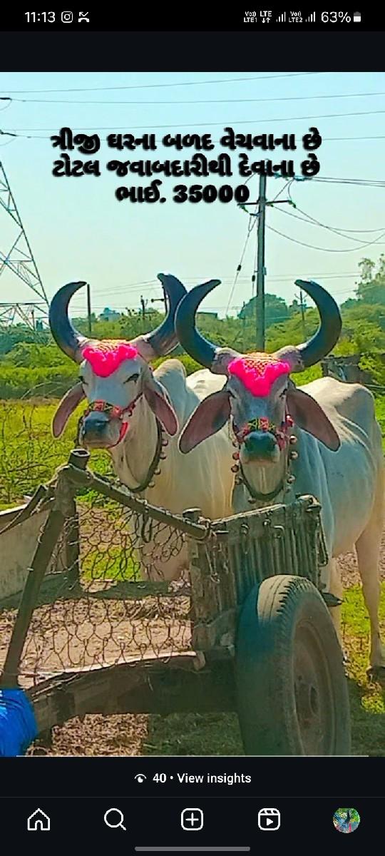 થંબનેલ 3