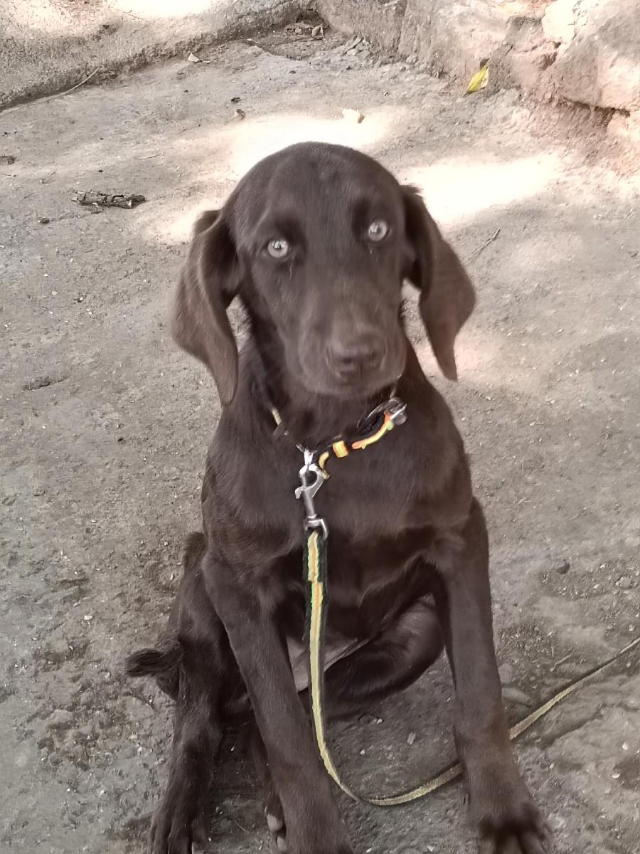 થંબનેલ 2