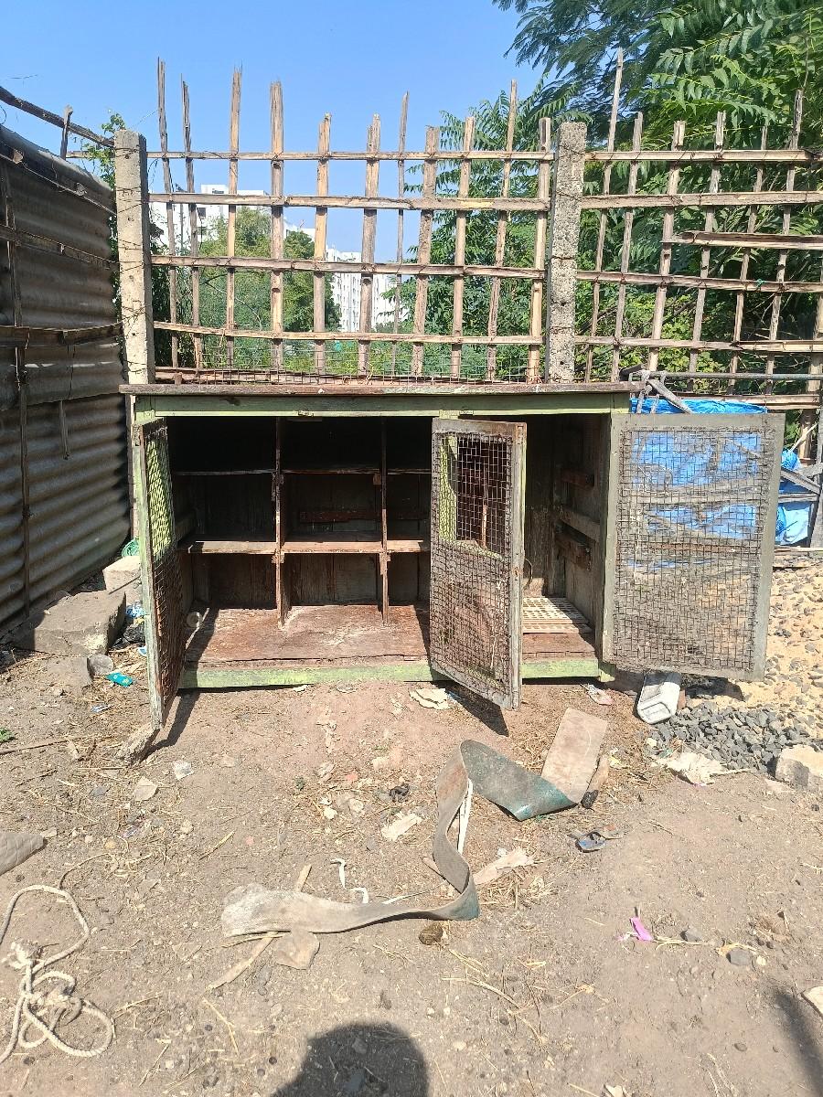 કબૂતર નો ખડો