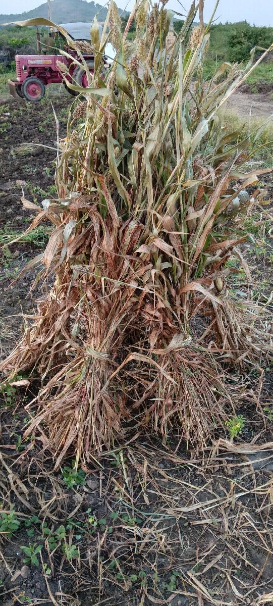 સાર વેચવા ની છે