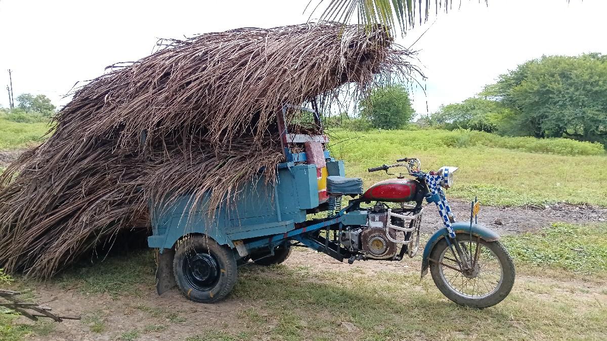 થંબનેલ 3