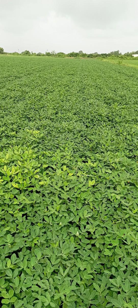 થંબનેલ 3