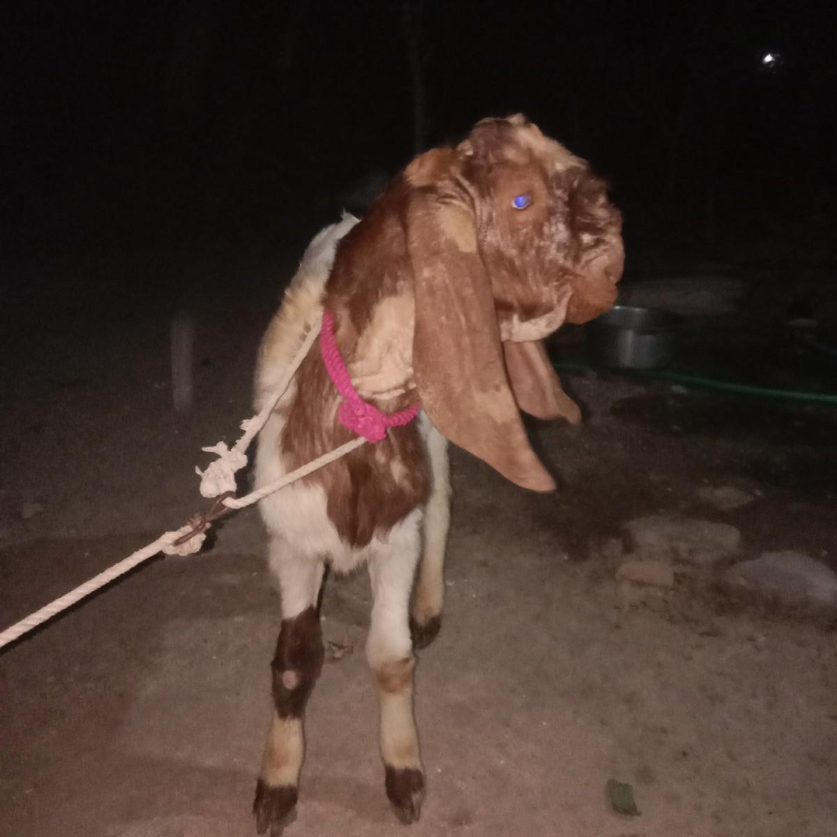 થંબનેલ 2