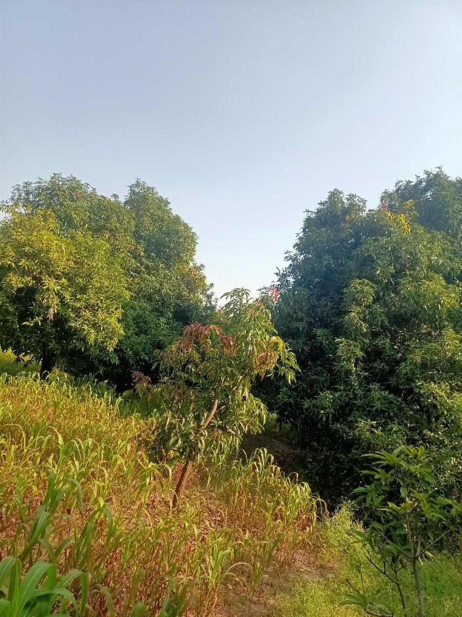 સારી જમીન લેવા માટે કોન્ટેક્ટ કરો