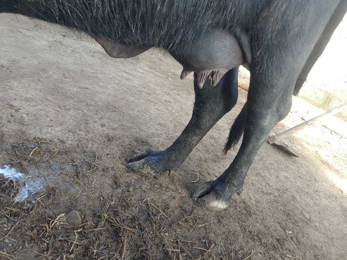 થંબનેલ 3