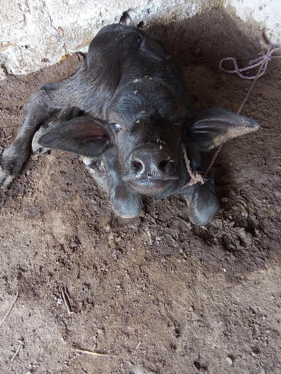 થંબનેલ 3