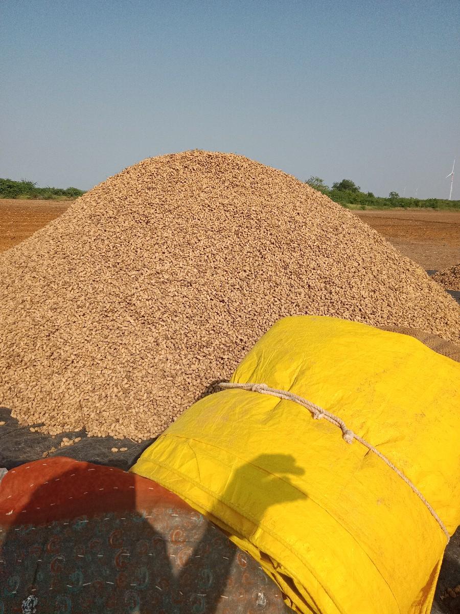 મગ ફળી વેચવની છે