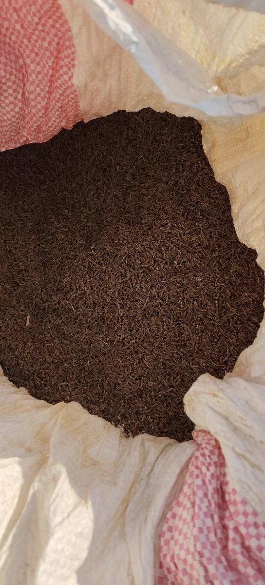 જીરું નેસના નું છે