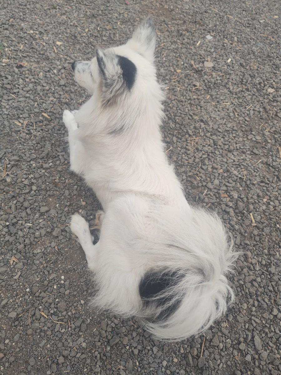 થંબનેલ 3