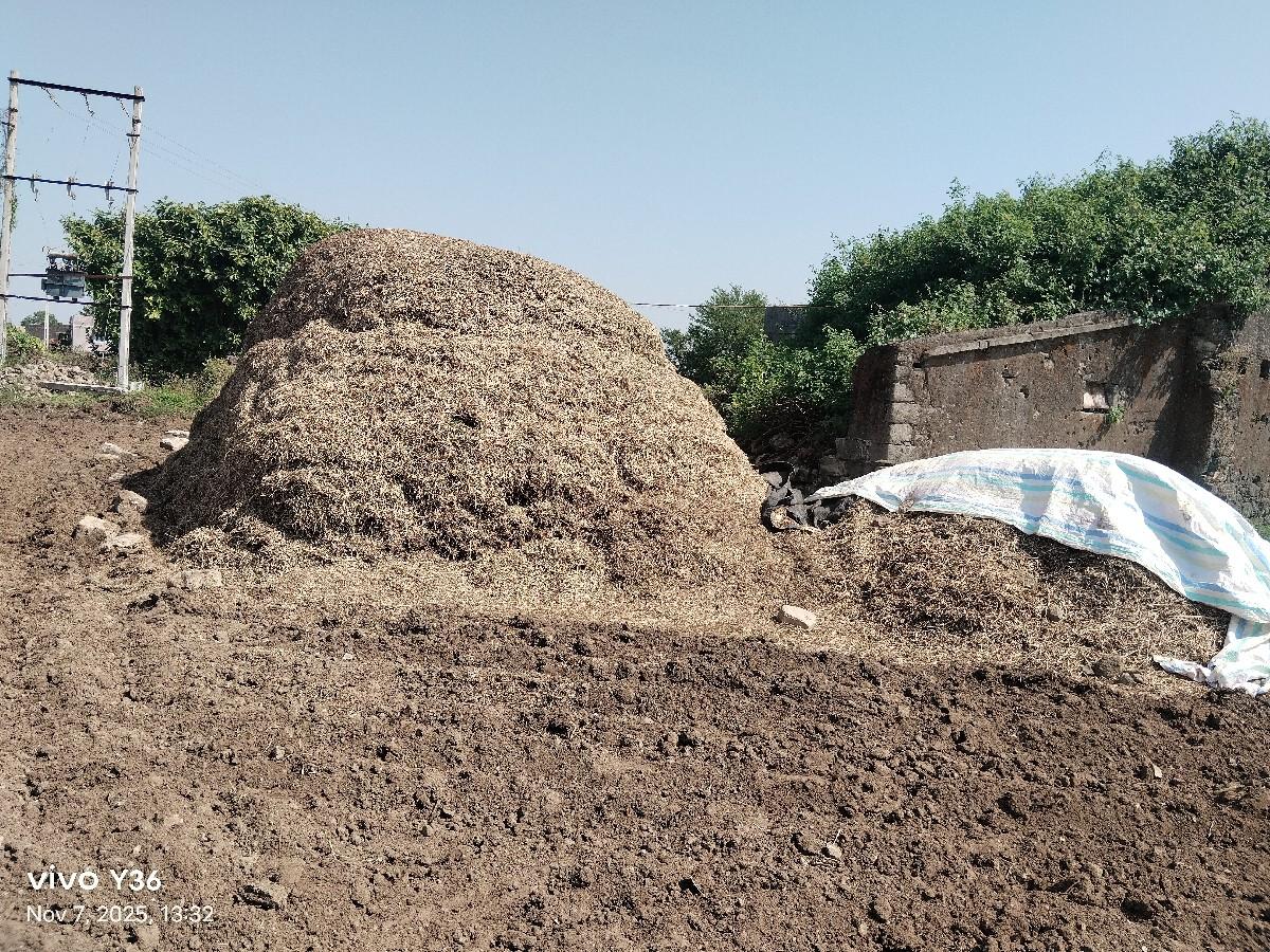 20 નંબરનો ભૂકો