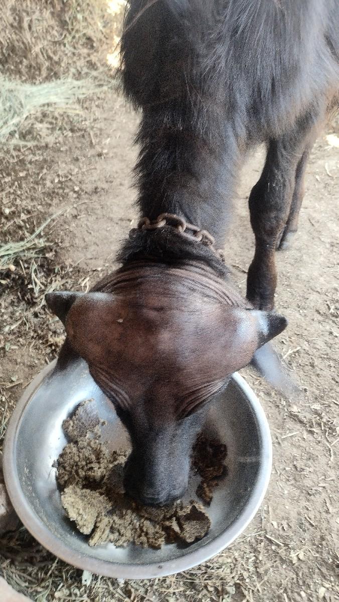 થંબનેલ 2