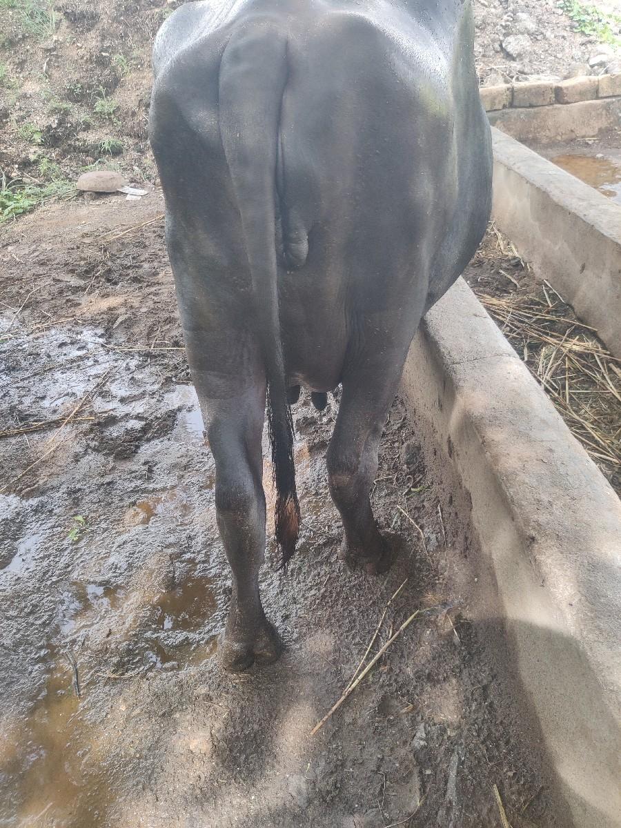 થંબનેલ 3