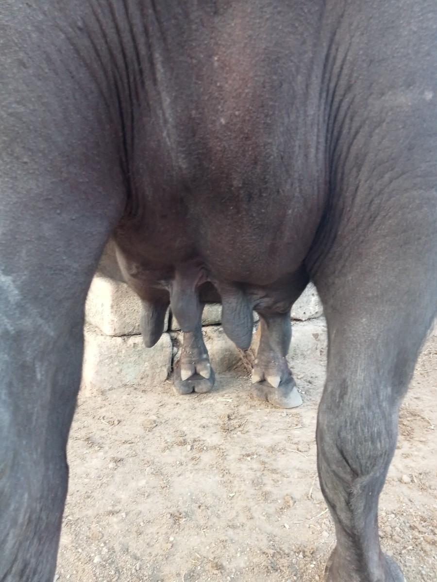 થંબનેલ 3