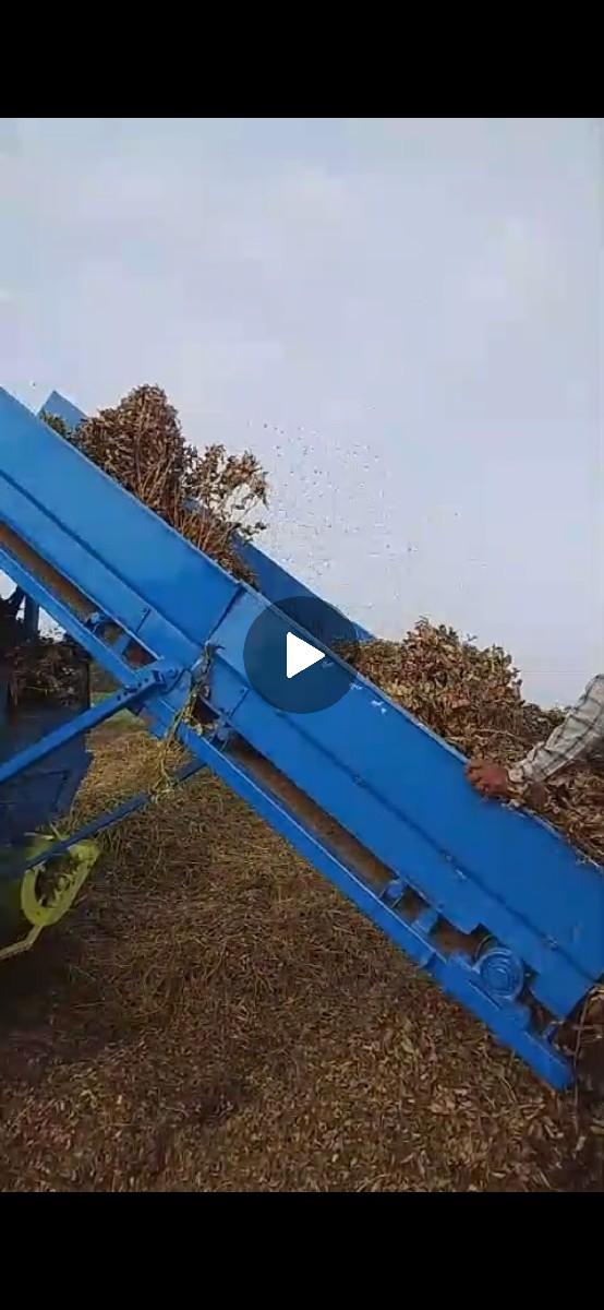 thesar pato vesavanose