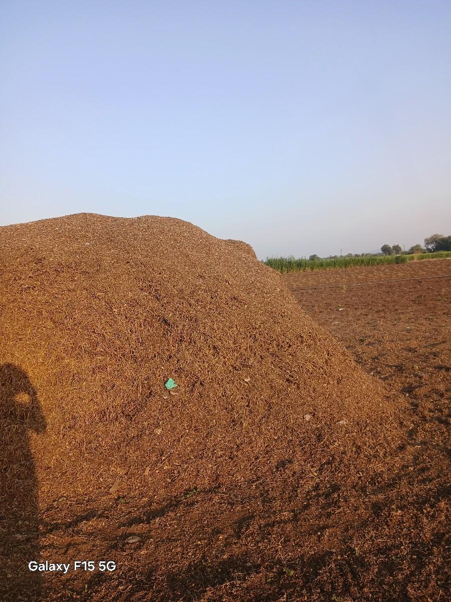 mandvino bhuko vechva no se