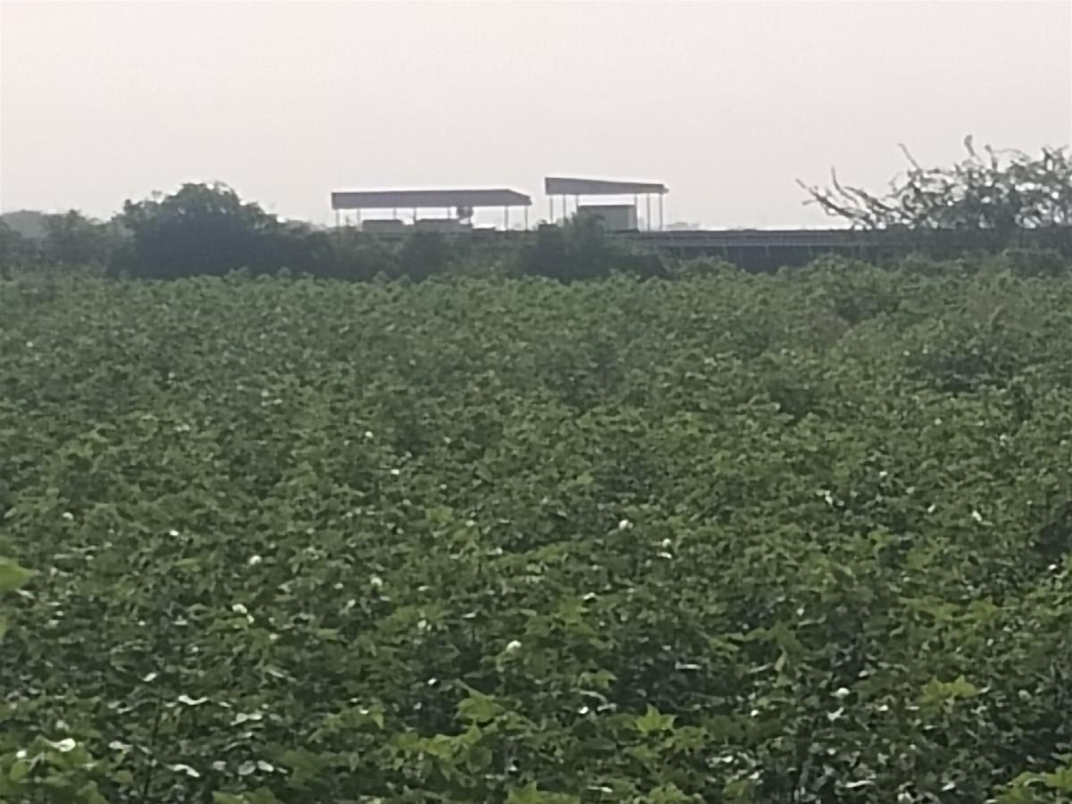 જમીન વેચવાની છે 
60-વીધા , જુની ‌સ