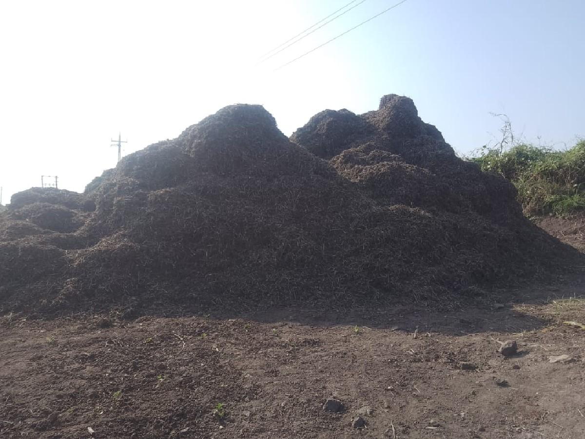 બીટી 32 નો ભુકો વેચવાનો સે