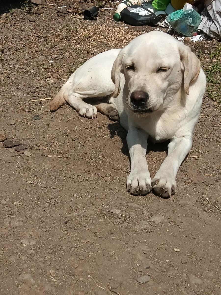 થંબનેલ 3