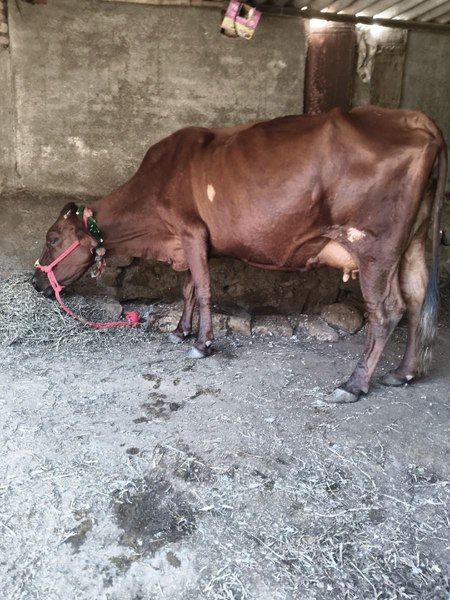 થંબનેલ 2