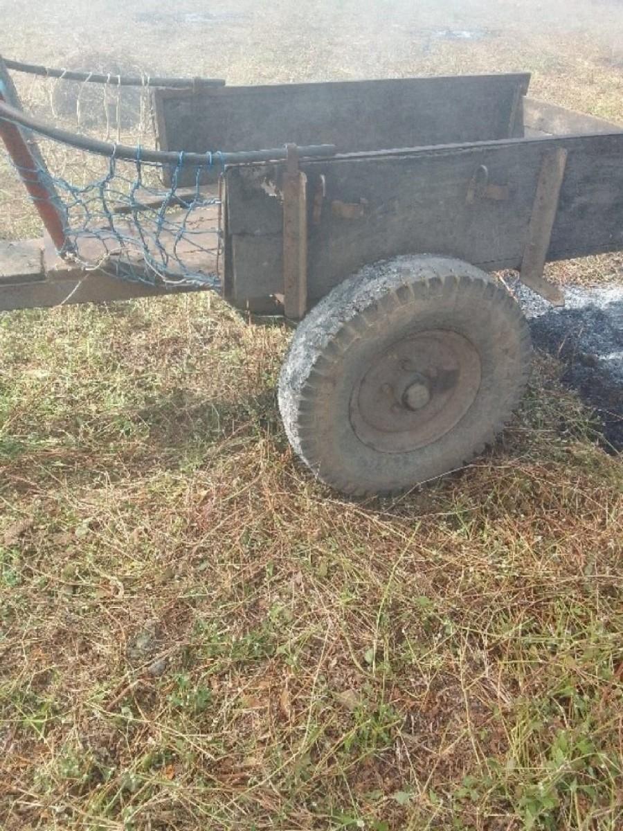 थंबनेल 3