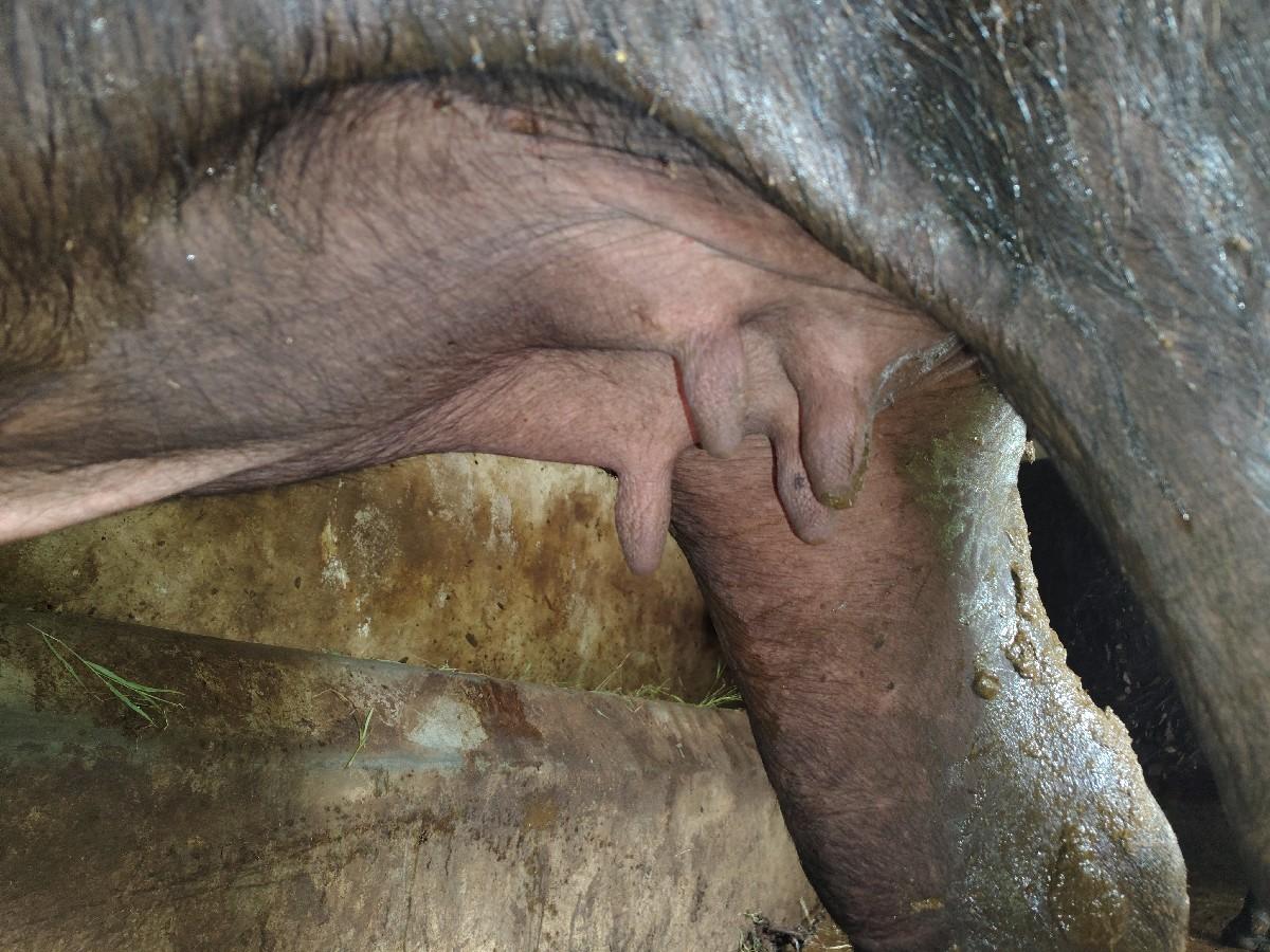 full જવાબદારી