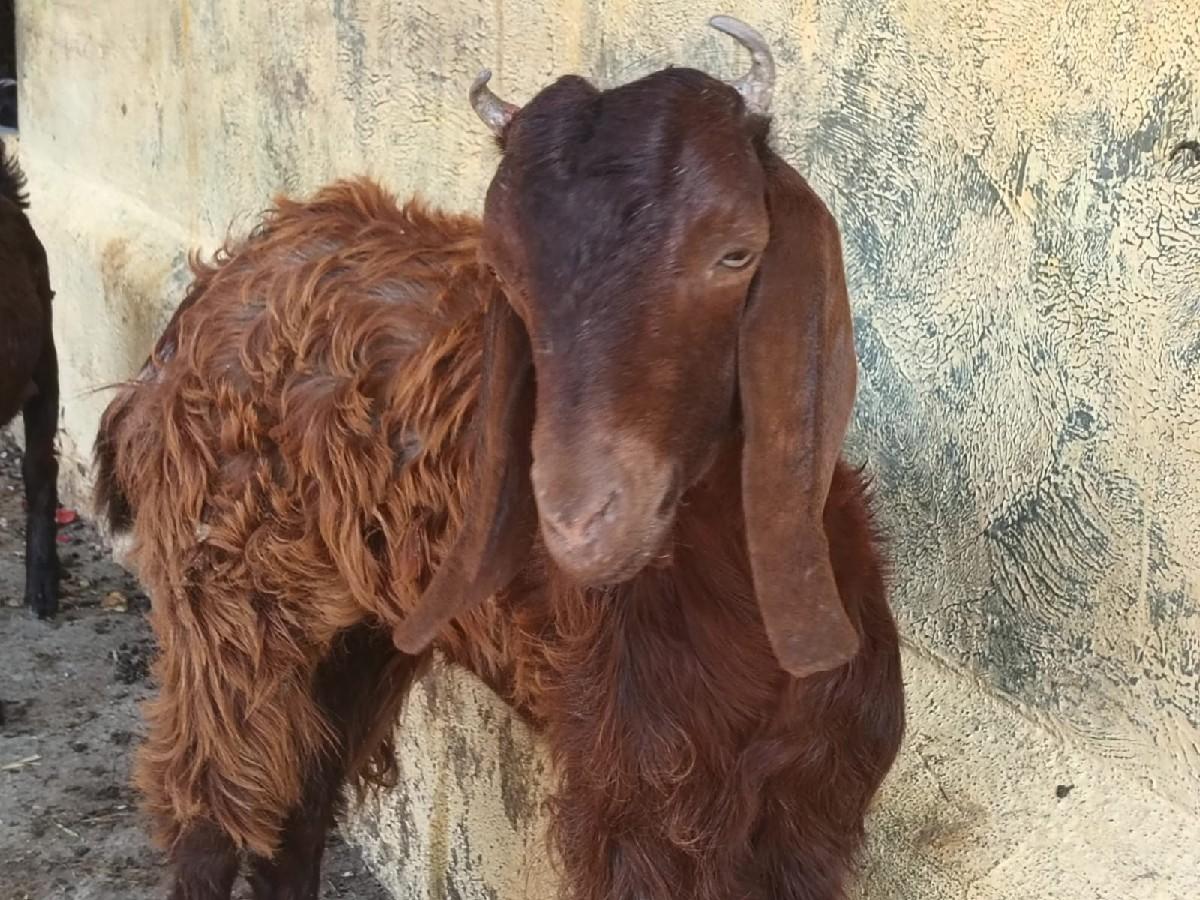 થંબનેલ 2