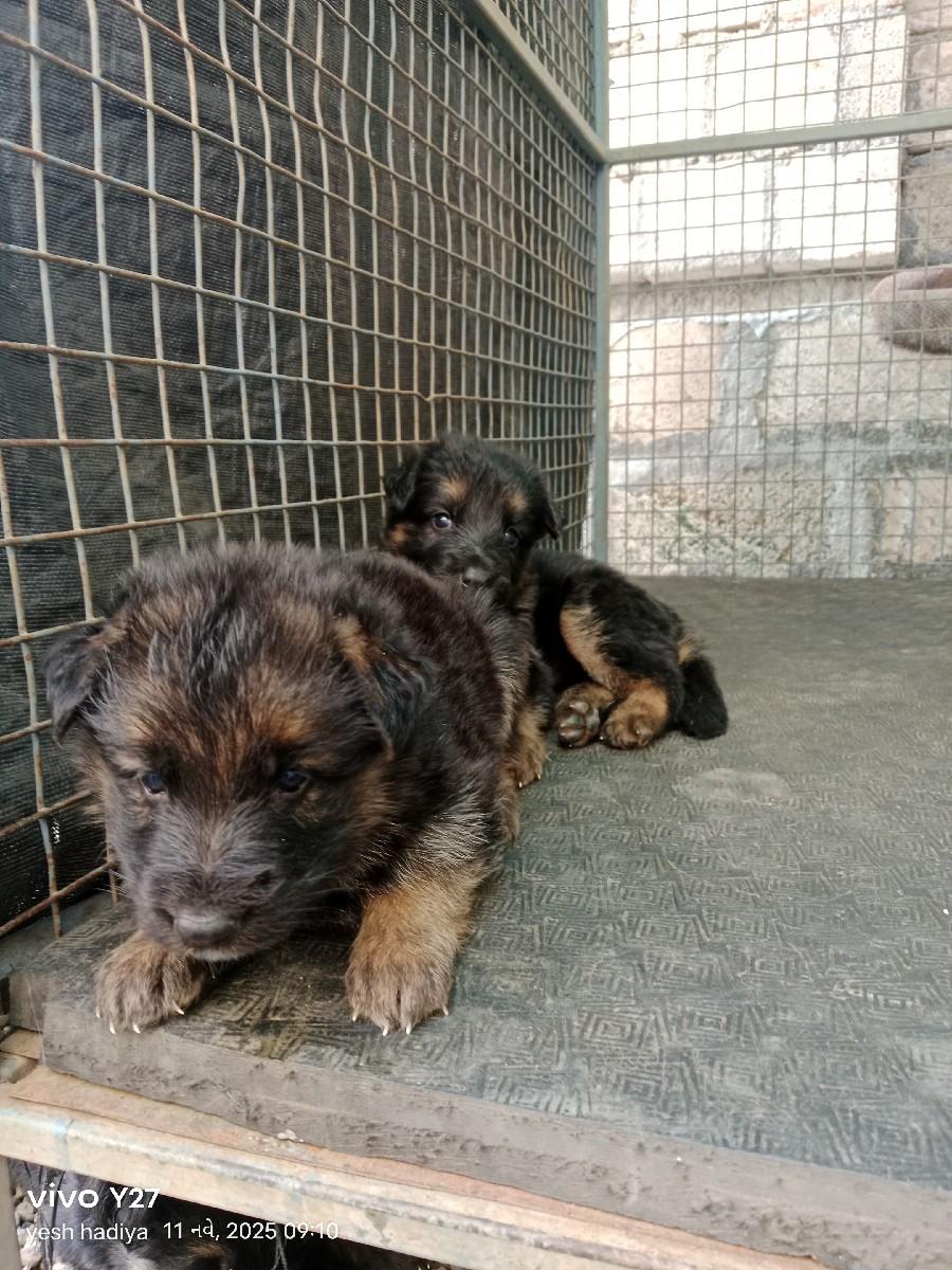 થંબનેલ 3