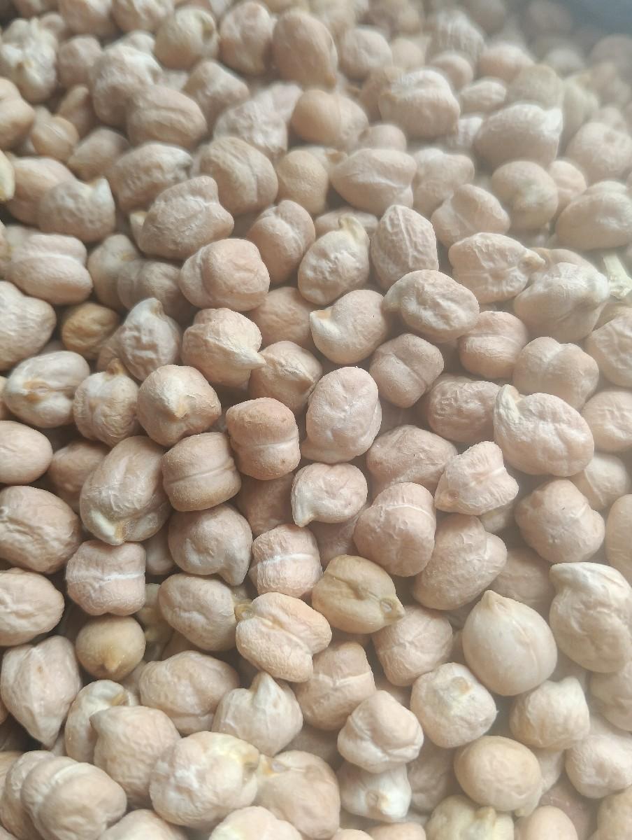 થંબનેલ 3