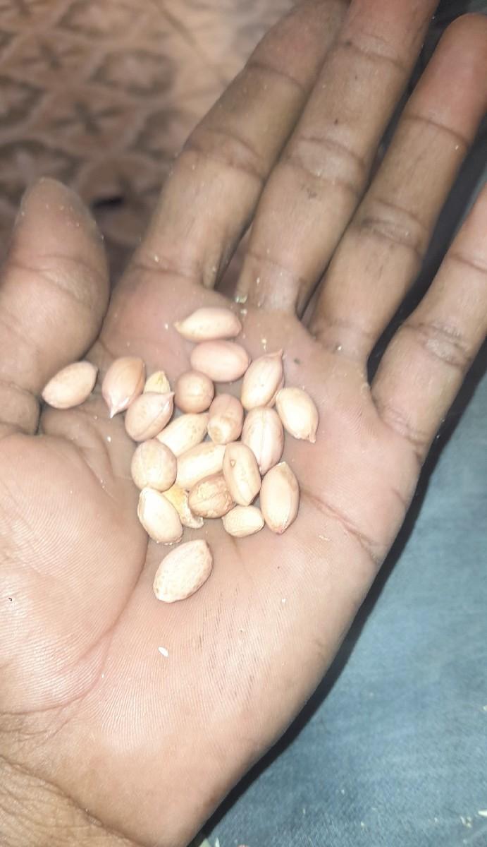 થંબનેલ 2