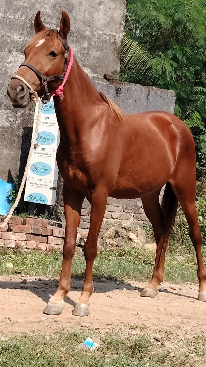 થંબનેલ 2