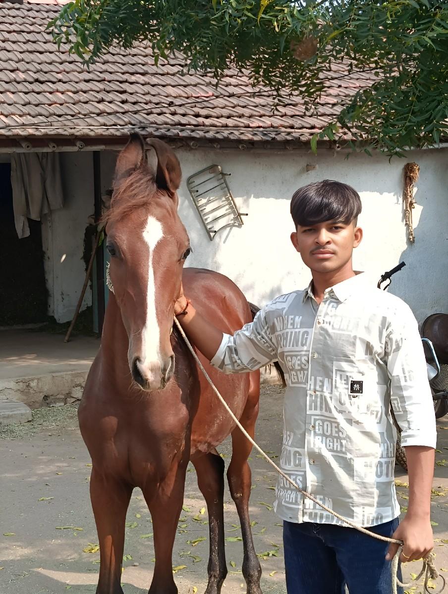 vachero vechvano cha