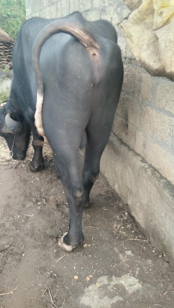 થંબનેલ 3