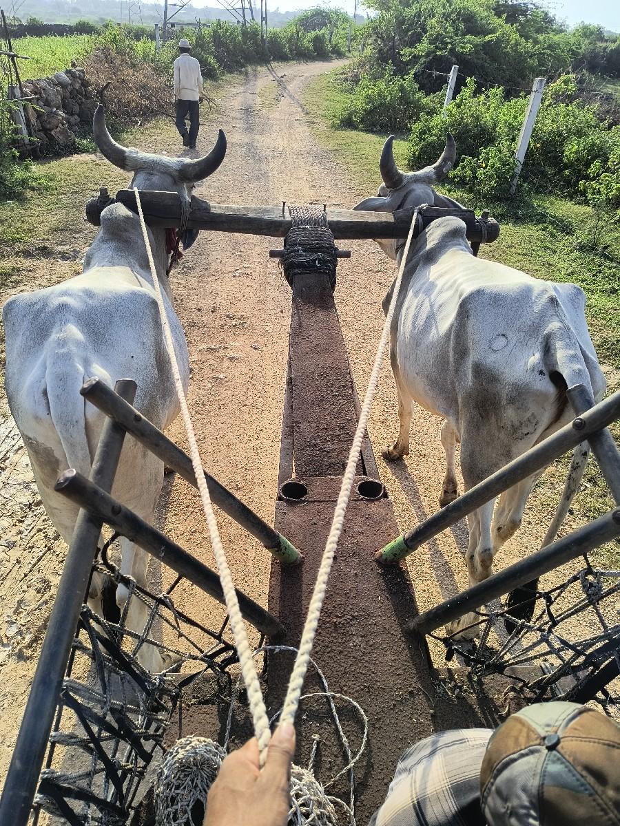 godhla fatafat vesva na se