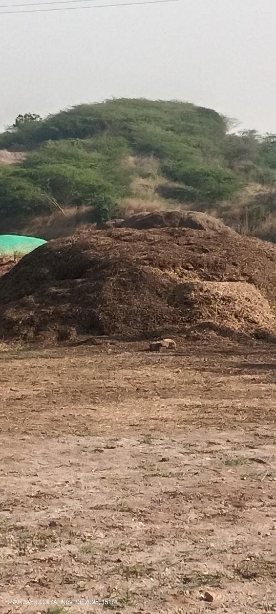 G 20 મગફળી નો સાવ કોરો ભૂકો